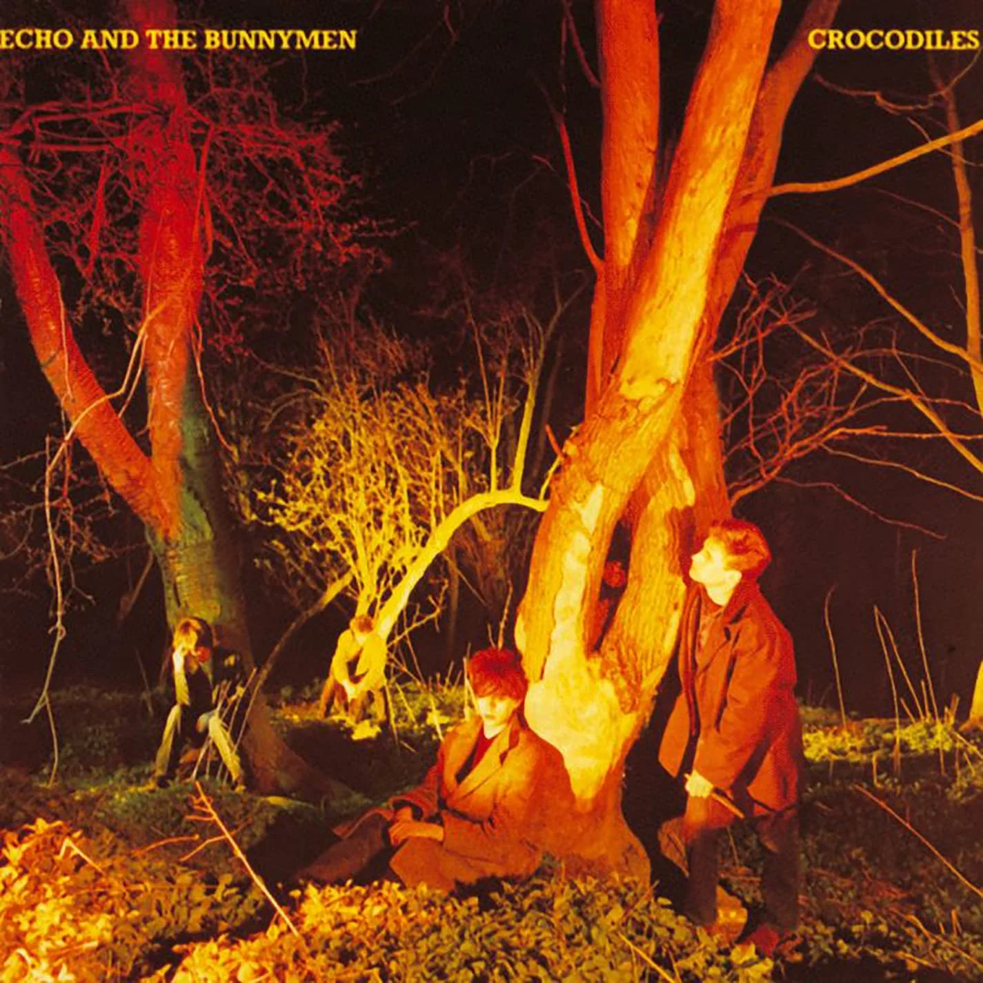 Echo & The Bunnymen – Crocodiles (Vinilo, LP)