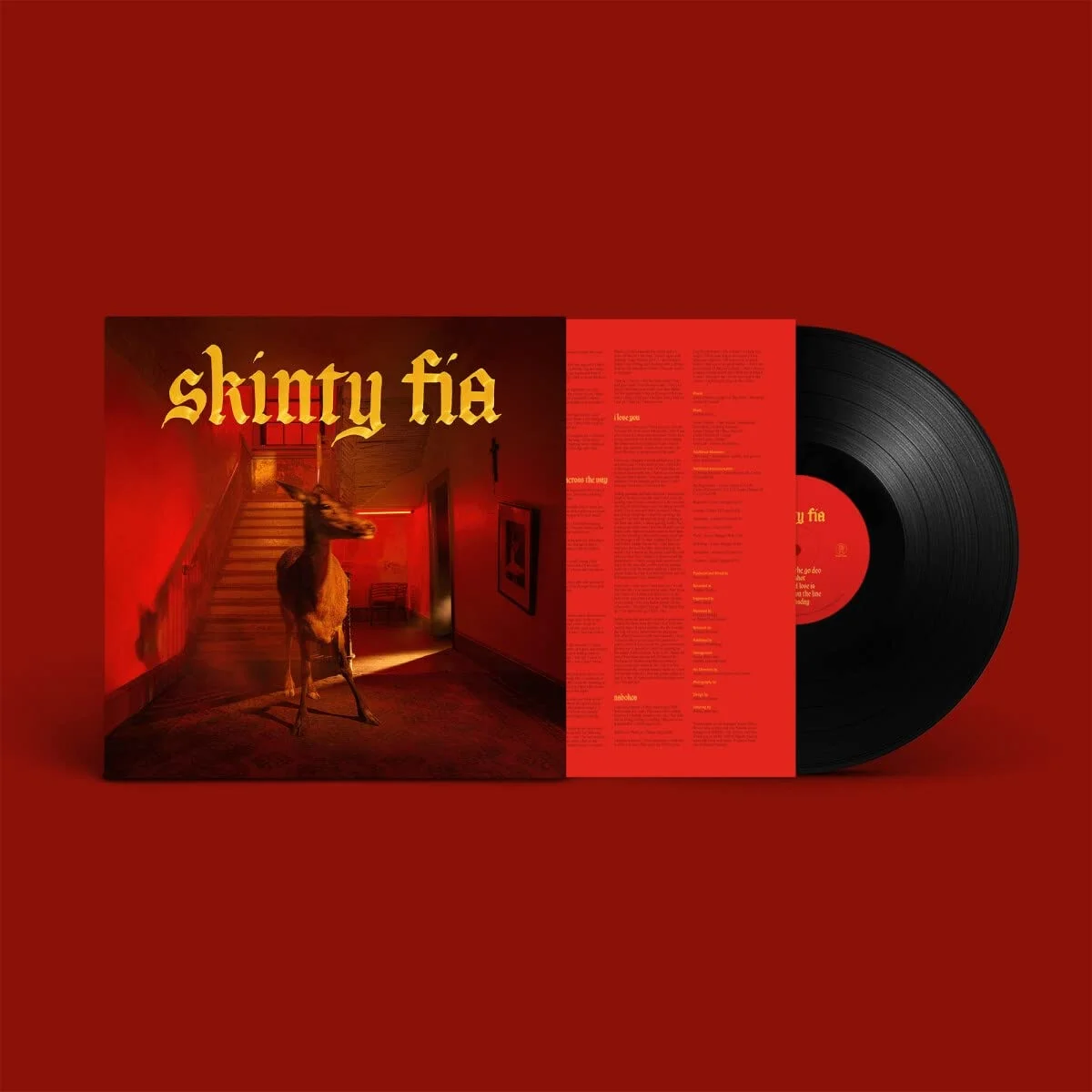 Fontaines D.C. – Skinty Fia (Vinilo, LP)