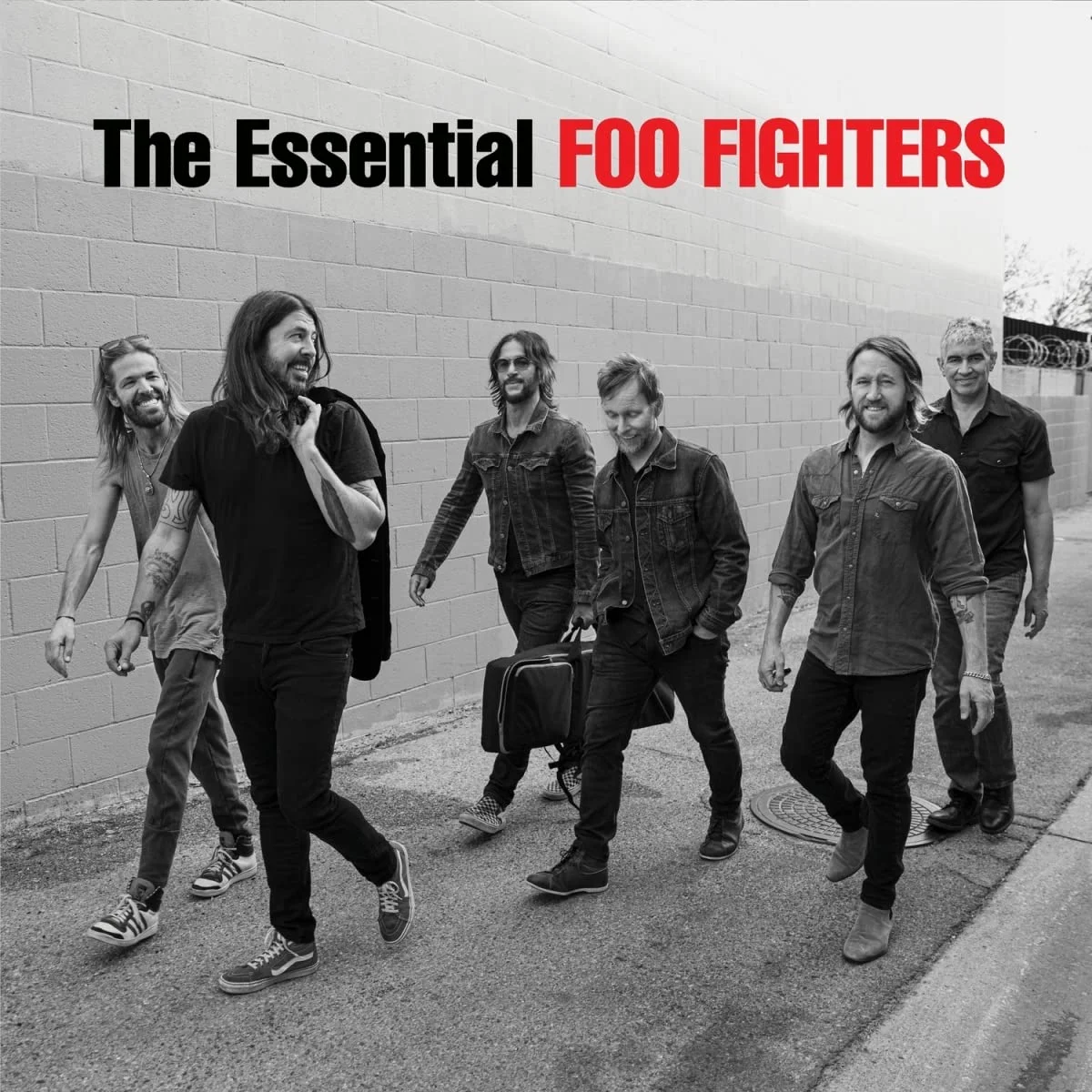 Foo Fighters – The Essential Foo Fighters (Vinilo, 2 LP)