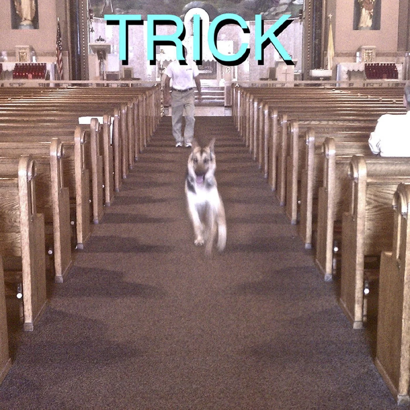 (Sandy) Alex G – Trick (Vinilo, 2 LP, deluxe)