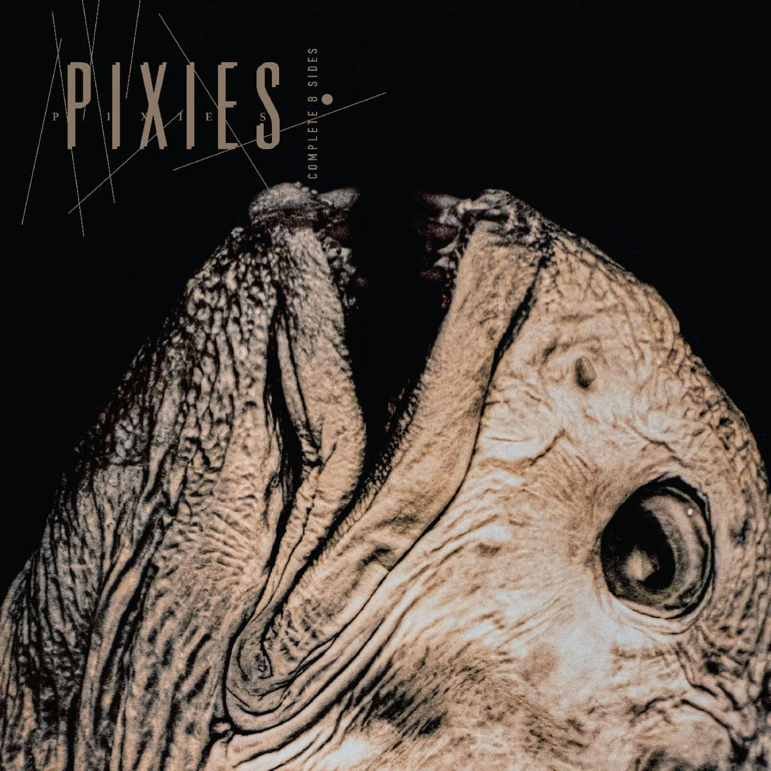 Pixies – Complete B Sides 1988-97 (Vinilo, 2 LP, remasterizado)