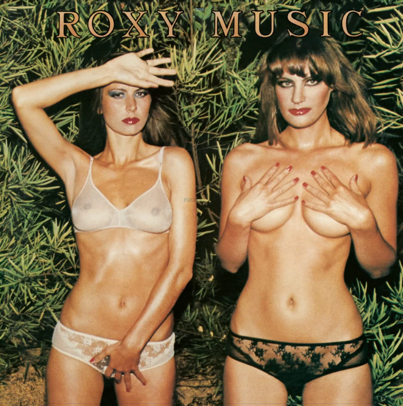 Roxy Music – Country Life (Vinilo, LP, half-speed)