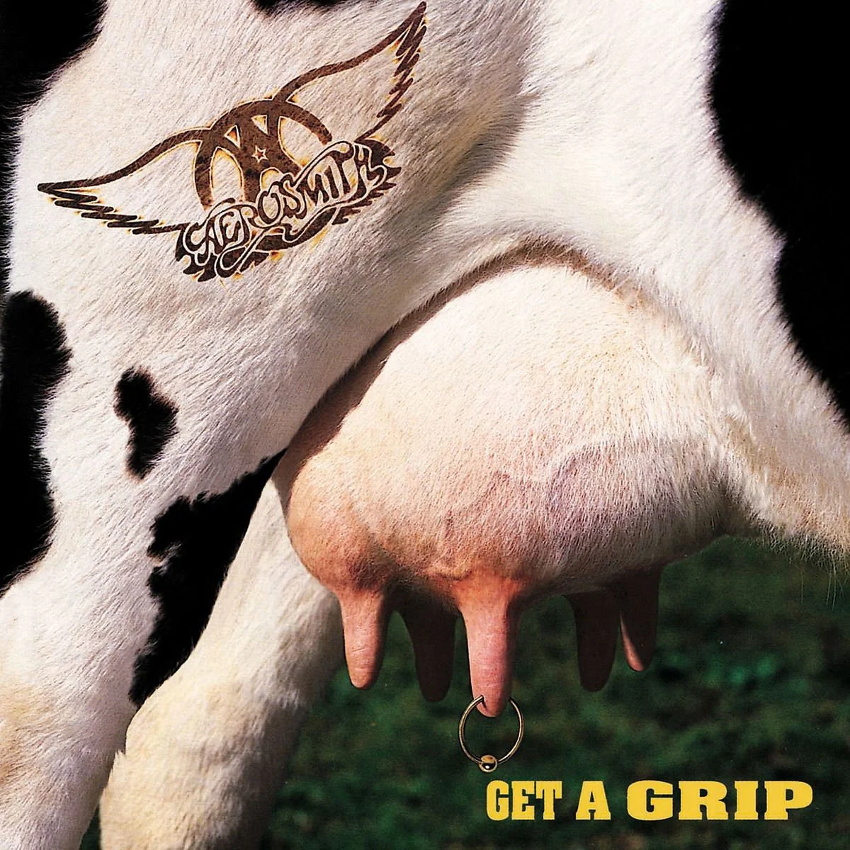Aerosmith – Get a Grip (Vinilo, 2 LP, 180 g)