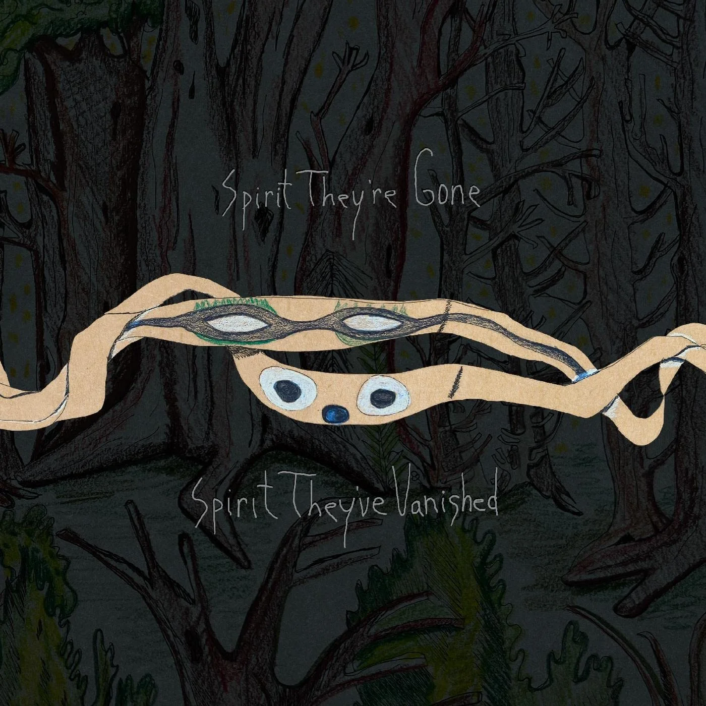 Animal Collective – Spirit They're Gone, Spirit They've Vanished (Vinilo, 2 LP, remasterizado 2023)