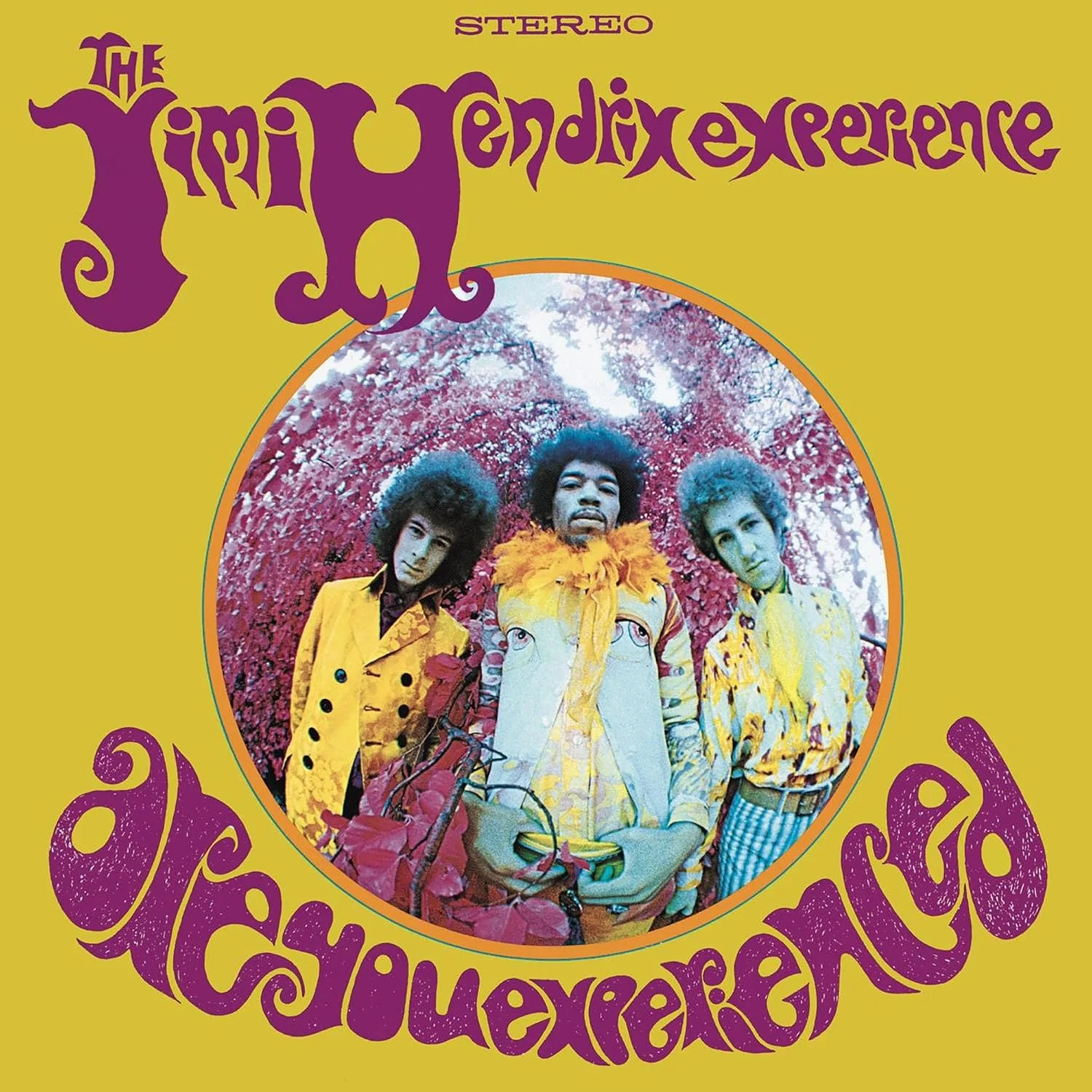 The Jimi Hendrix Experience – Are You Experienced (Vinilo, LP)