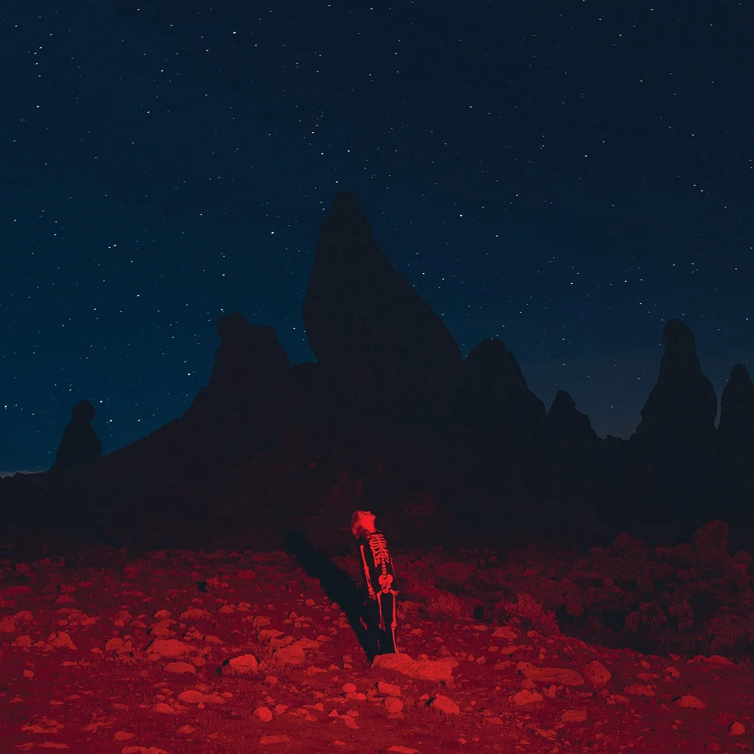 Phoebe Bridgers – Punisher (Vinilo, LP)