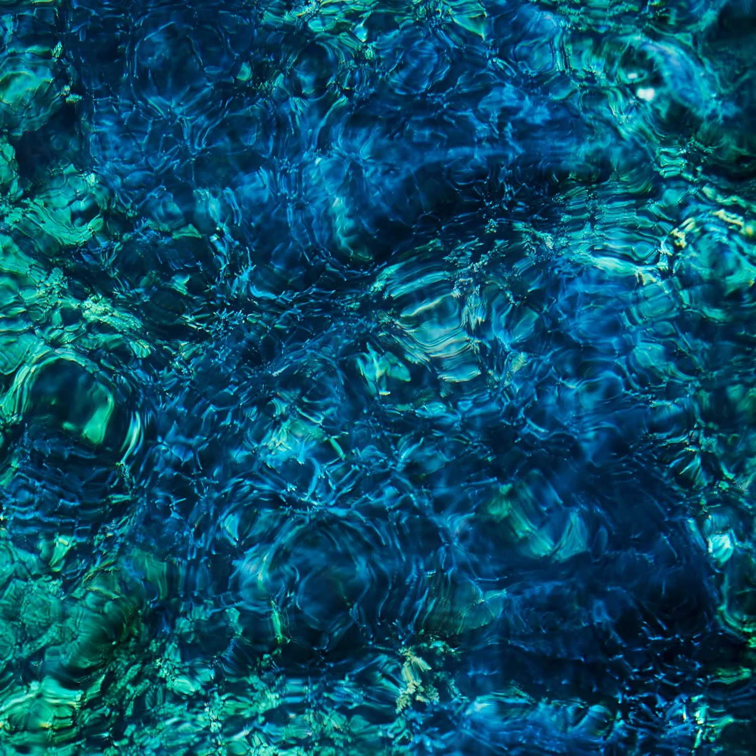 Ichiko Aoba – Luminescent Creatures (Vinilo, LP)
