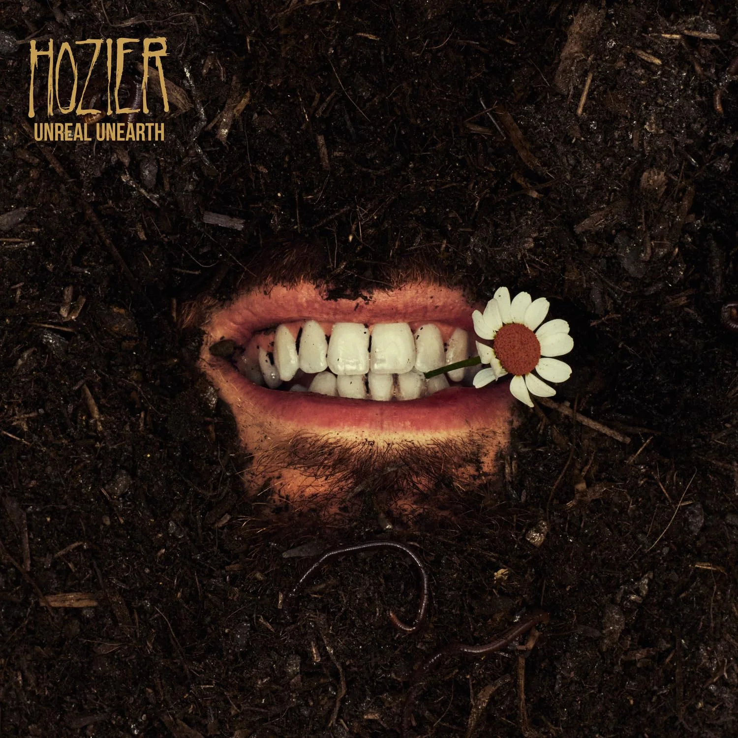 Hozier – Unreal Unearth (Vinilo, 2 LP)
