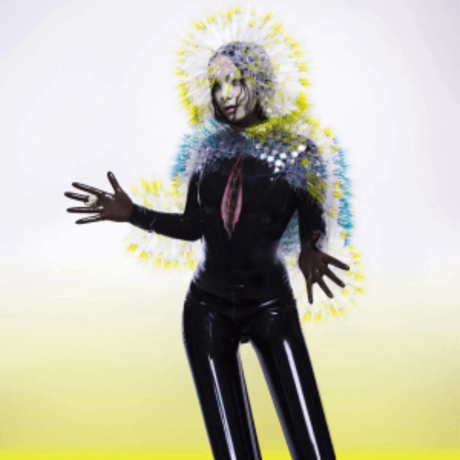 Björk – Vulnicura (Vinilo)