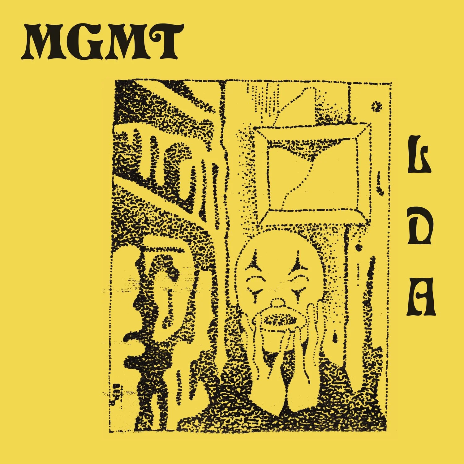 MGMT – Little Dark Age (Vinilo, 2 LP, 180 g)