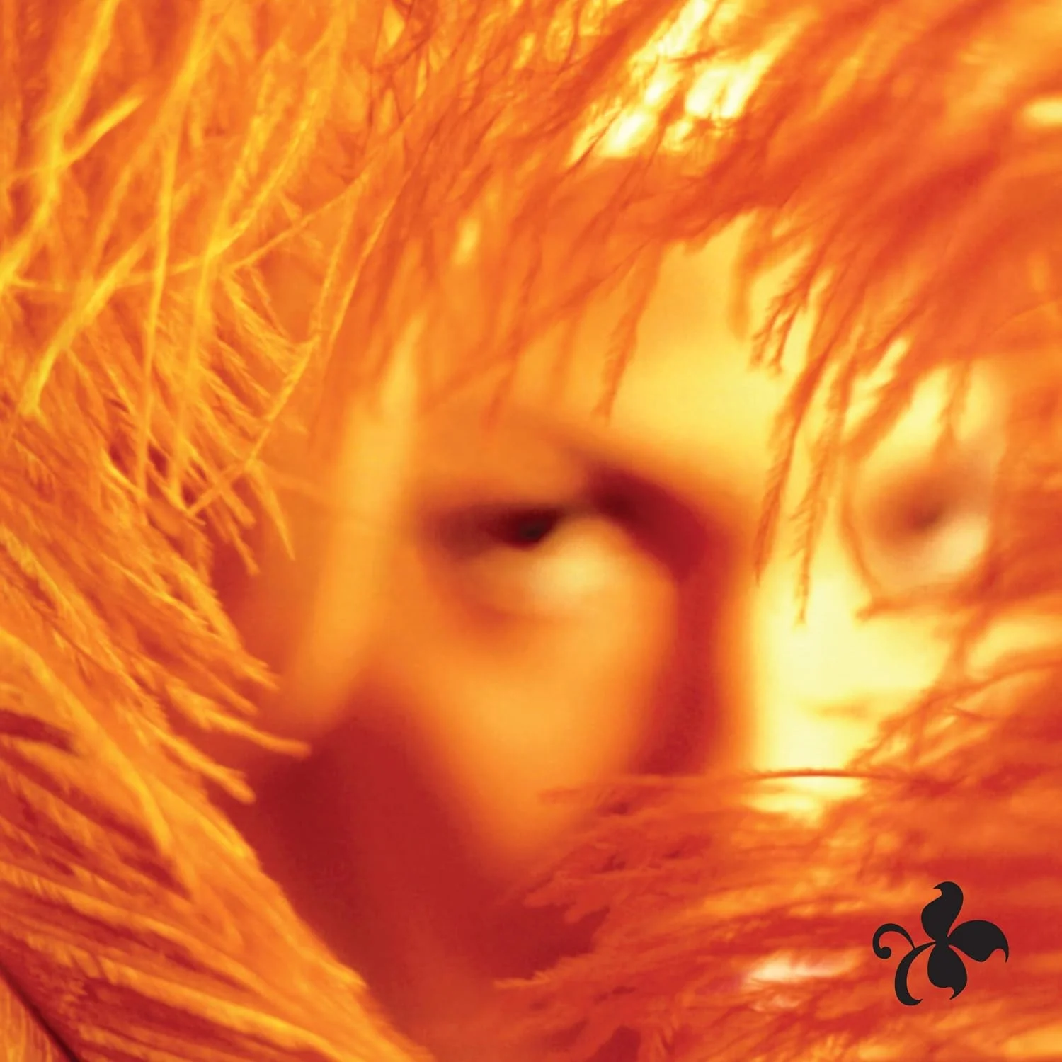 Stone Temple Pilots – Shangri-la Dee Da (Vinilo, LP)