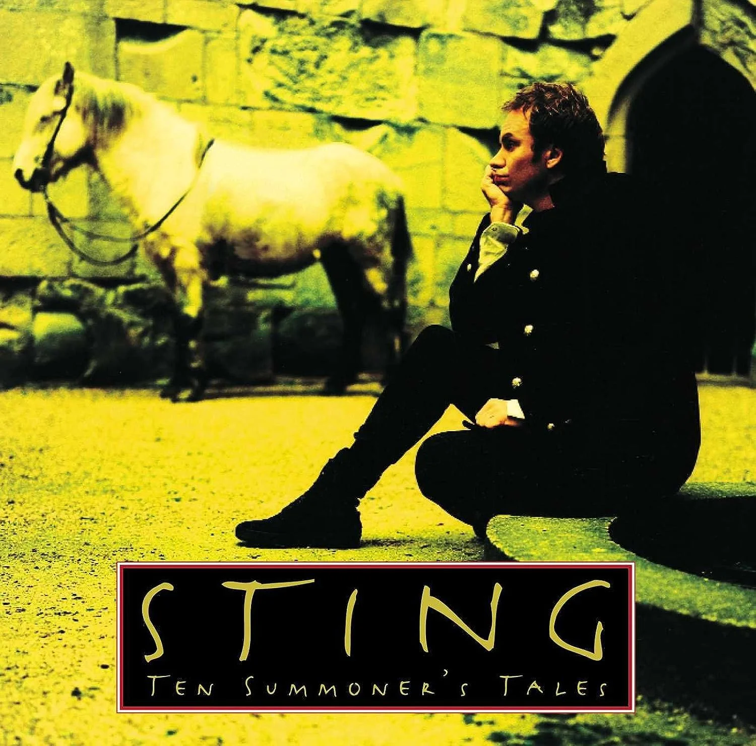 Sting – Ten Summoner's Tales (Vinilo, LP, 180 g)