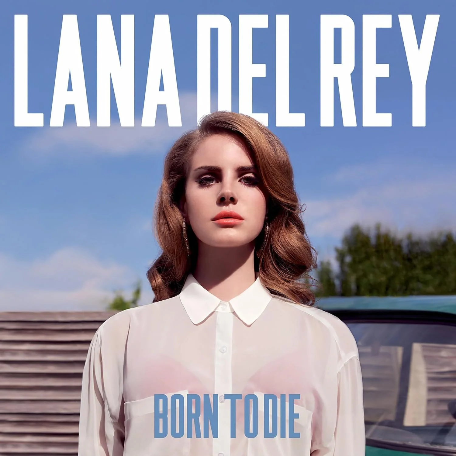 Lana del Rey – Born to Die (Vinilo, LP)